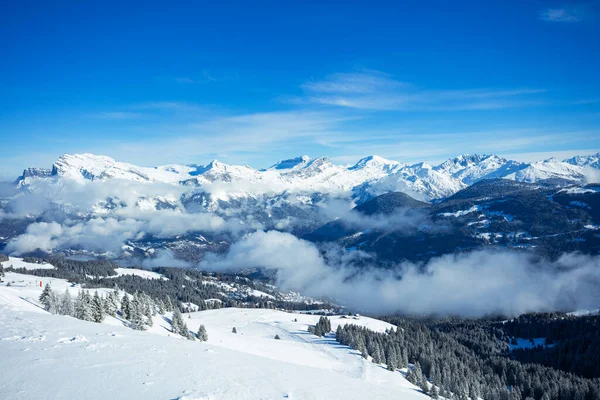 Beautiful Panorama French Alps Valley Forest Covered Snow Flying Bellow — Stock Fotó