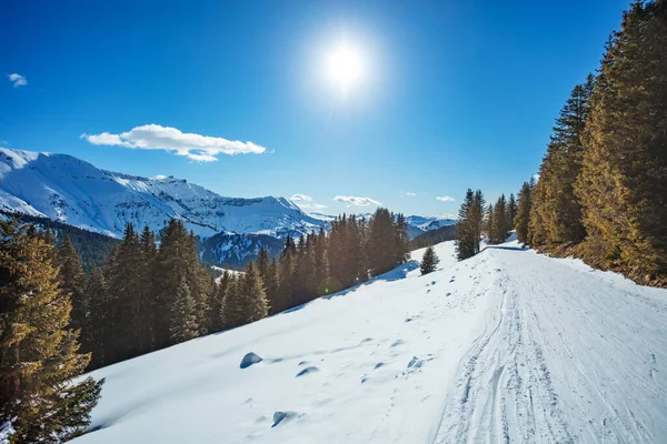 Alpejska Trasa Narciarska Nad Górami Panorama Jodłowym Lasem Słoneczny Zimowy — Zdjęcie stockowe