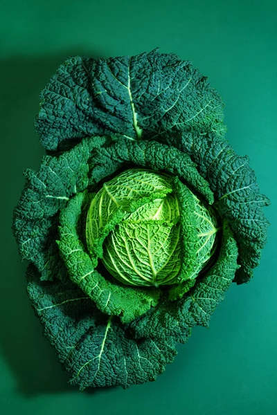 Savoy Cabbage Green Background View Top Organic Farming Bio Vegetable — Fotografia de Stock