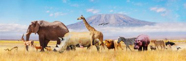 Many different Africans animals Elephant, rhino, giraffe, lion zebra cheetah and others together over Kilimanjaro mountain