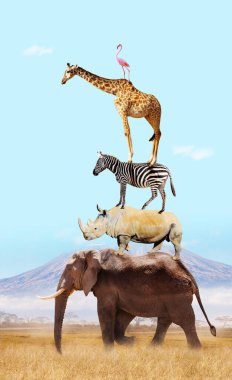 Birçok Afrikalı hayvan birbirinin üstünde fil, gergedan, zürafa, aslan zebra çitası ve diğerleri Kilimanjaro dağının tepesinde birlikte.