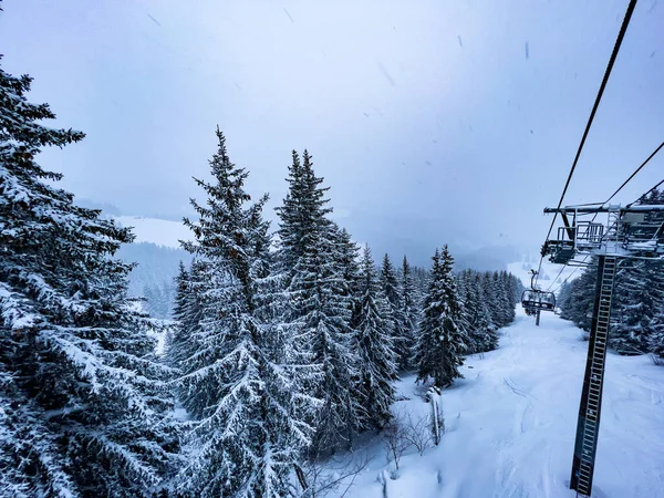 Blick Vom Skilift Auf Schönen Schneebedeckten Tannen Wald Nach Schwerem — Stockfoto