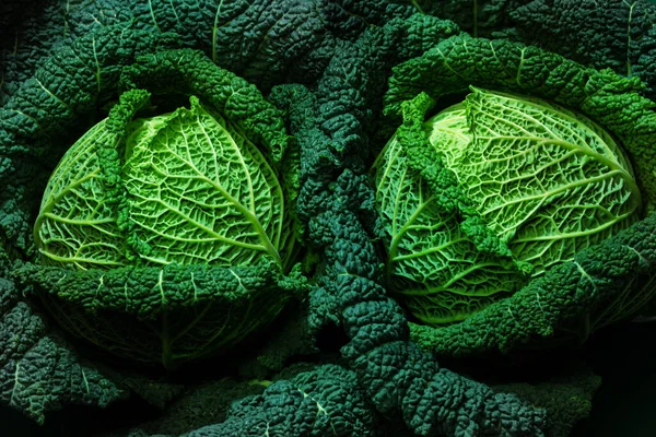 Yukarıdan Iki Savoy Lahanası Kafasının Bir Sürü Detay Içeren Yakın — Stok fotoğraf