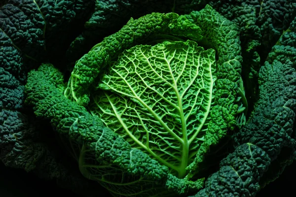 View Savoy Cabbage Head Close Many Details Organic Farming Bio — Fotografia de Stock