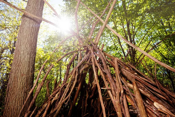 Cabana Galhos Floresta Com Luz Solar Sobre Folhagem Das Árvores — Fotografia de Stock