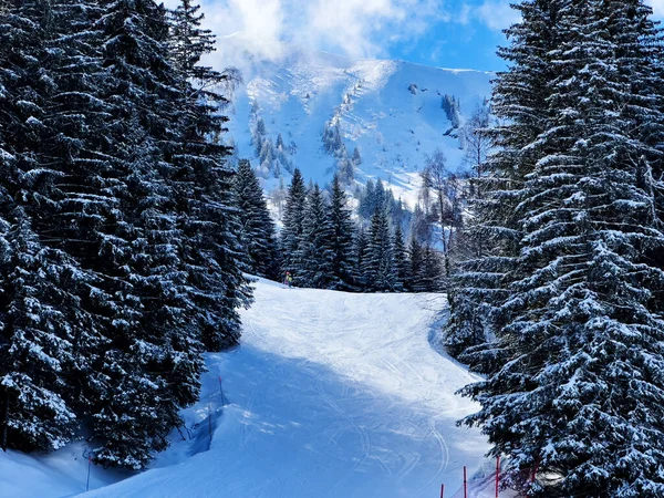 Pohled Sjezdovku Alpském Středisku Jedlovém Lese Pokrytém Sněhem Sněžení — Stock fotografie