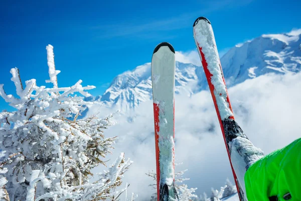 Close-up of the ski over mountain peaks and bush after snowfall