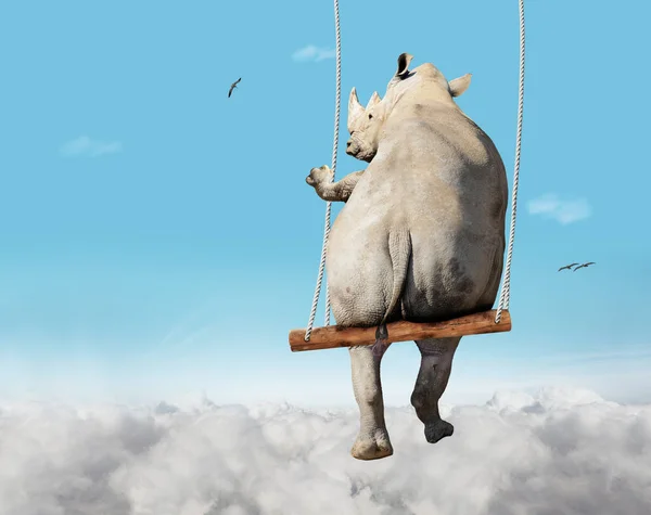 Illustration Image Rhino Swinging Swing Bar Blue Sky Clouds Foam — Stockfoto