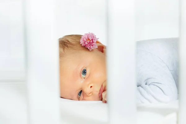 Portrait Little Newborn Baby Girl Flower Laying Belly Nursery Crib —  Fotos de Stock