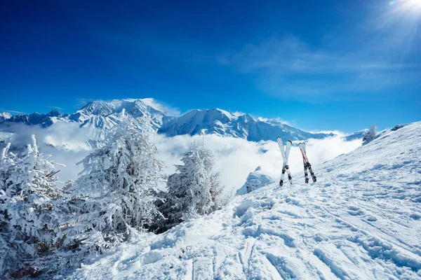 Снігові Покриті Кущі Дерева Дві Пари Лиж Над Красивою Долиною — стокове фото