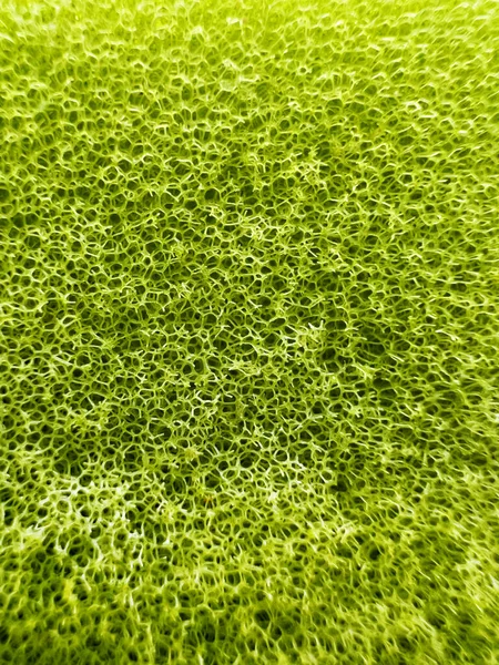 Γκρο Πλαν Μακροεντολή Εικόνα Των Πράσινων Κυψελών Πλέγματος Σφουγγαρίσματος — Φωτογραφία Αρχείου
