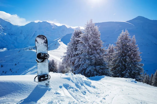 Snowboard Schnee Wunderschöner Tannenwald Nach Schneefall Und Sonnenbeschienenen Berggipfeln Hintergrund — Stockfoto