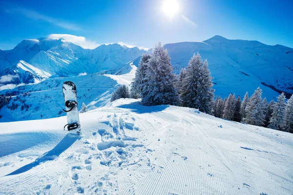 Snowboard Nieve Sobre Hermoso Bosque Abetos Después Las Nevadas Picos —  Fotos de Stock