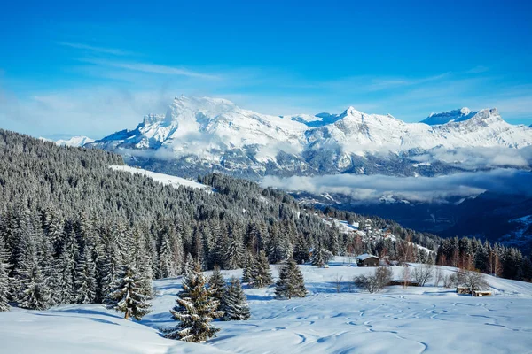 Панорама Зимового Альпійського Ландшафту Сніговою Дошкою Лижними Доріжками Через Ялинові — стокове фото