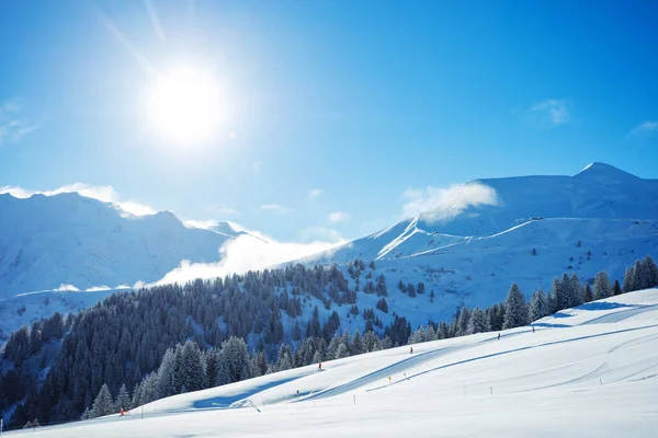 High Mountains Panorama Ski Track Fir Forest Snowfall French Alps — Foto de Stock