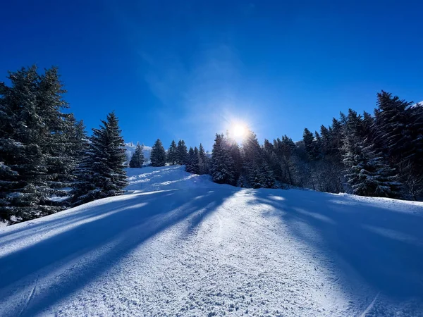 Hermosa Pista Esquí Pasa Por Bosque Estación Alpina Con Sol — Foto de Stock