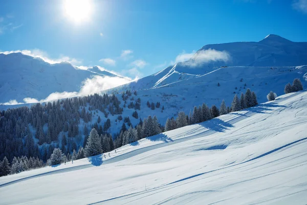 Panorama Ski Track Slope Snow Covered Fir Forest French Alps — Fotografia de Stock