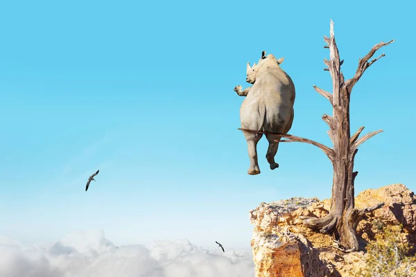 Rhinoceros Sit Old Tree Abyss View Dream Character Cartoon —  Fotos de Stock