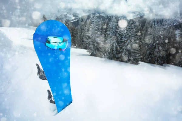 Ski Maska Sportowa Niebieskiej Snowboardzie Nad Lasem Podczas Opadów Śniegu — Zdjęcie stockowe