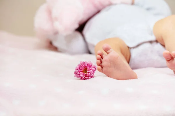 Gambe Una Bambina Appena Nata Giacevano Nella Culla Con Fiore — Foto Stock