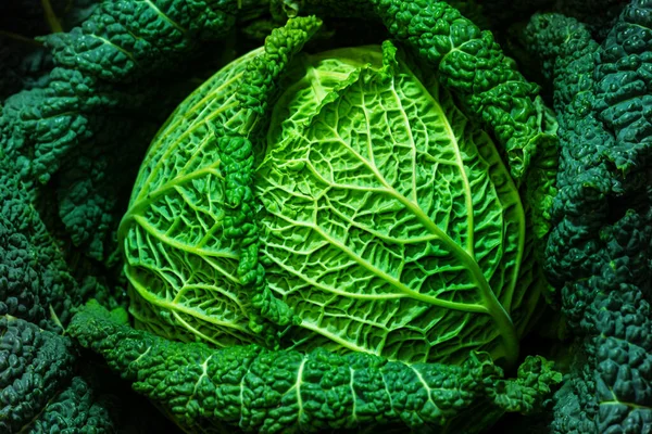 View Savoy Cabbage Head Extreme Close Many Details Organic Farming — Stockfoto