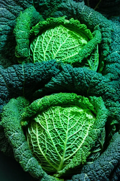 Close View Two Savoy Cabbage Heads Close Many Details Organic — Stockfoto