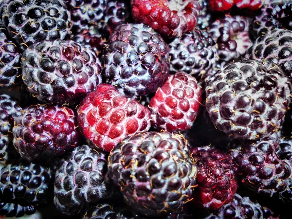 arka plan blackberry