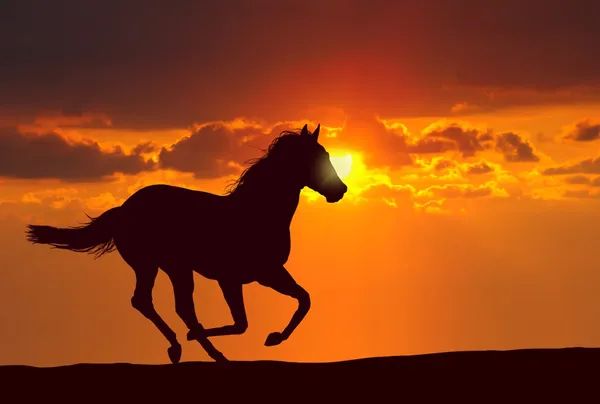 at Sunset altında çalışan