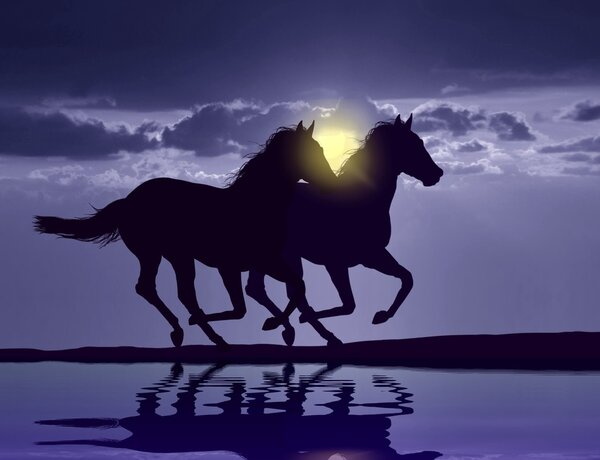 Horses running at sunset with water reflection