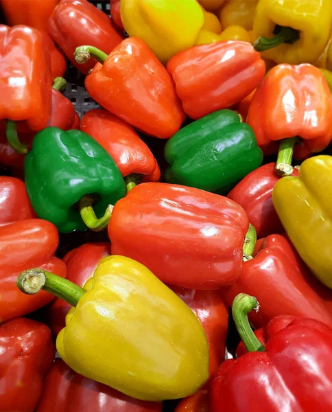 Vielfältige Auswahl Paprika Mit Roter Gelber Und Grüner Farbe Hintergrund Stockbild