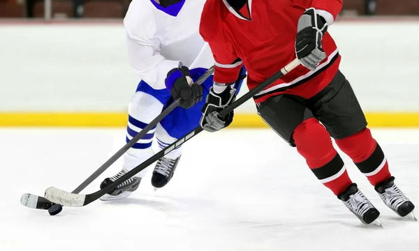 ice hockey players in the competitive match in the rink