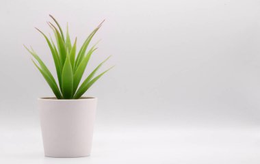 Artificial potted green plant with small pot over white background