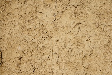 Kuru daub - çamur ve inek gübre karışımı