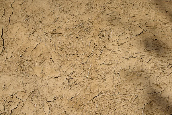 Daub, mudder og kumøkk – stockfoto