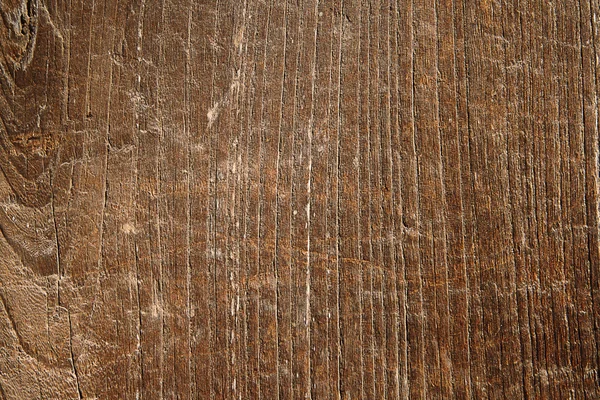 Tekstur butir kayu — Stok Foto