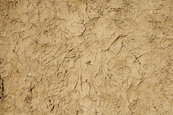 Daub seco - mistura de lama e estrume de vaca Fotografias De Stock Royalty-Free