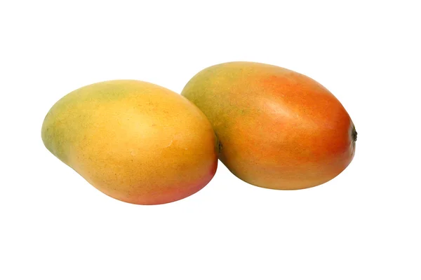 Two ripe juicy mangoes isolated on white — Stock Photo, Image