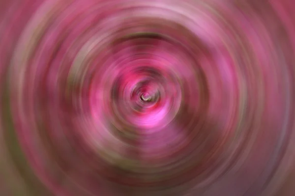 Movimento rosa — Fotografia de Stock