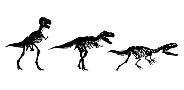 Tres esqueletos de dinosaurios Ilustraciones De Stock Sin Royalties Gratis