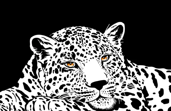 Leopardo con ojos dorados — Vector de stock