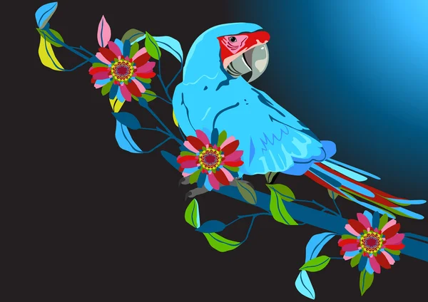 Papagei — Stockvektor