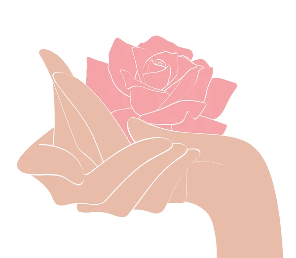 Mains et rose — Image vectorielle