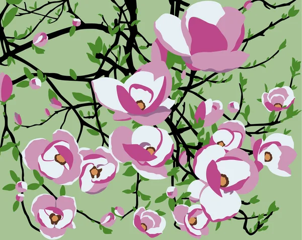 Magnolias — Stock Vector