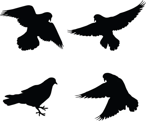 Čtyři holubice — Stockový vektor