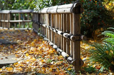  Güneşli bir sonbahar gününde yere düşen yapraklar parkı.                              