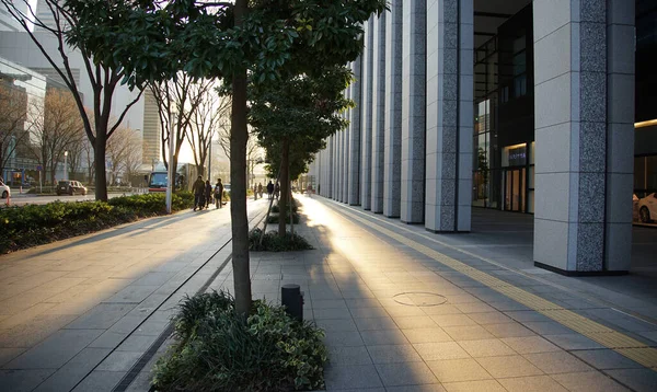 日光に照らされた都市の通りの木と歩道 — ストック写真