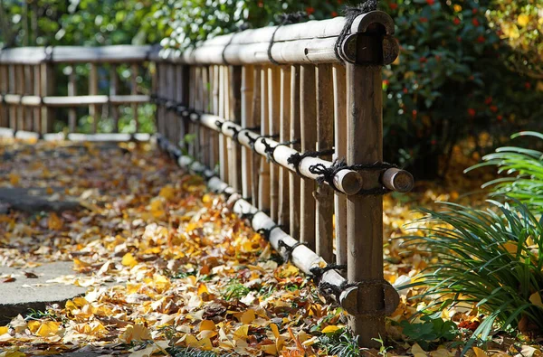 Park Fallen Leaves Ground Sunny Autumn Day — Stock Photo, Image