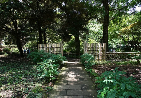 Güneşli bir günde yeşil parka giriş.                               