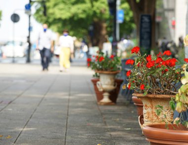  Güneşli bir günde şehrin sokaklarında çiçekler                              