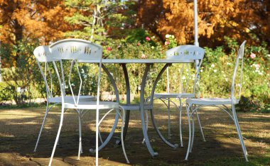  Bahçede sonbahar doğası masa ve sandalyelerle                              